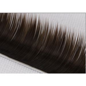 Brown Natural Looking Strash Individu